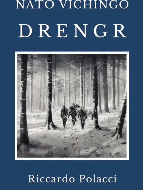 Copertina di Nato Vichingo: Drengr: Terzo libro della saga di Nato Vichingo